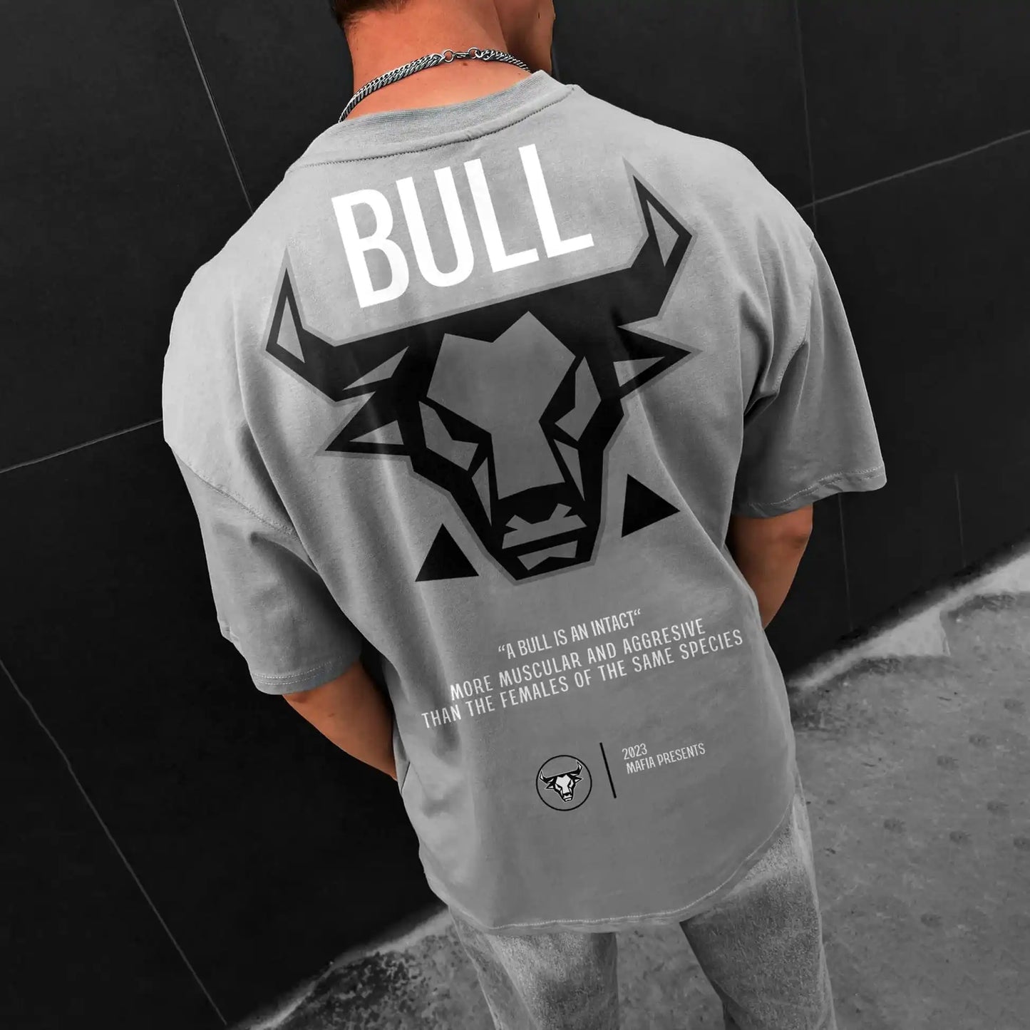 BULL Grey Acid Wash T-shirt